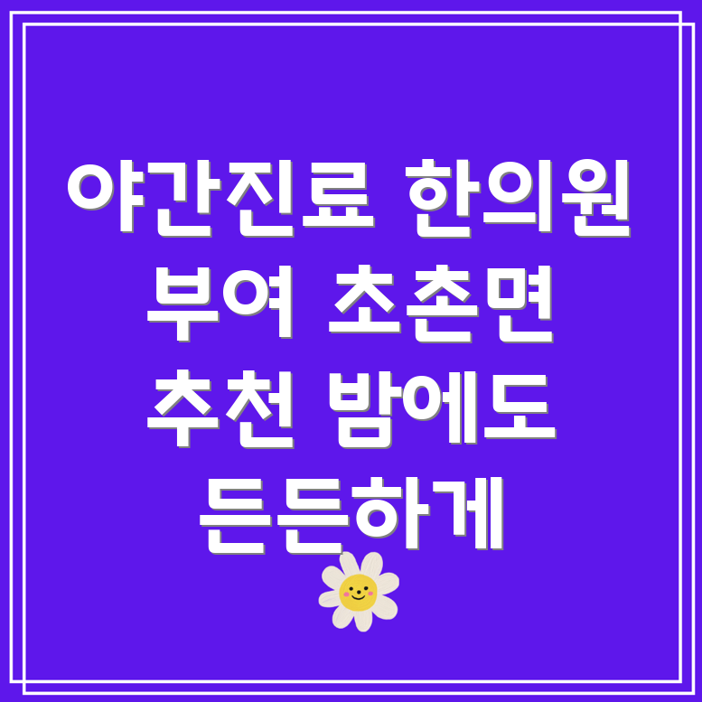부여군 초촌면 야간진료 한의원