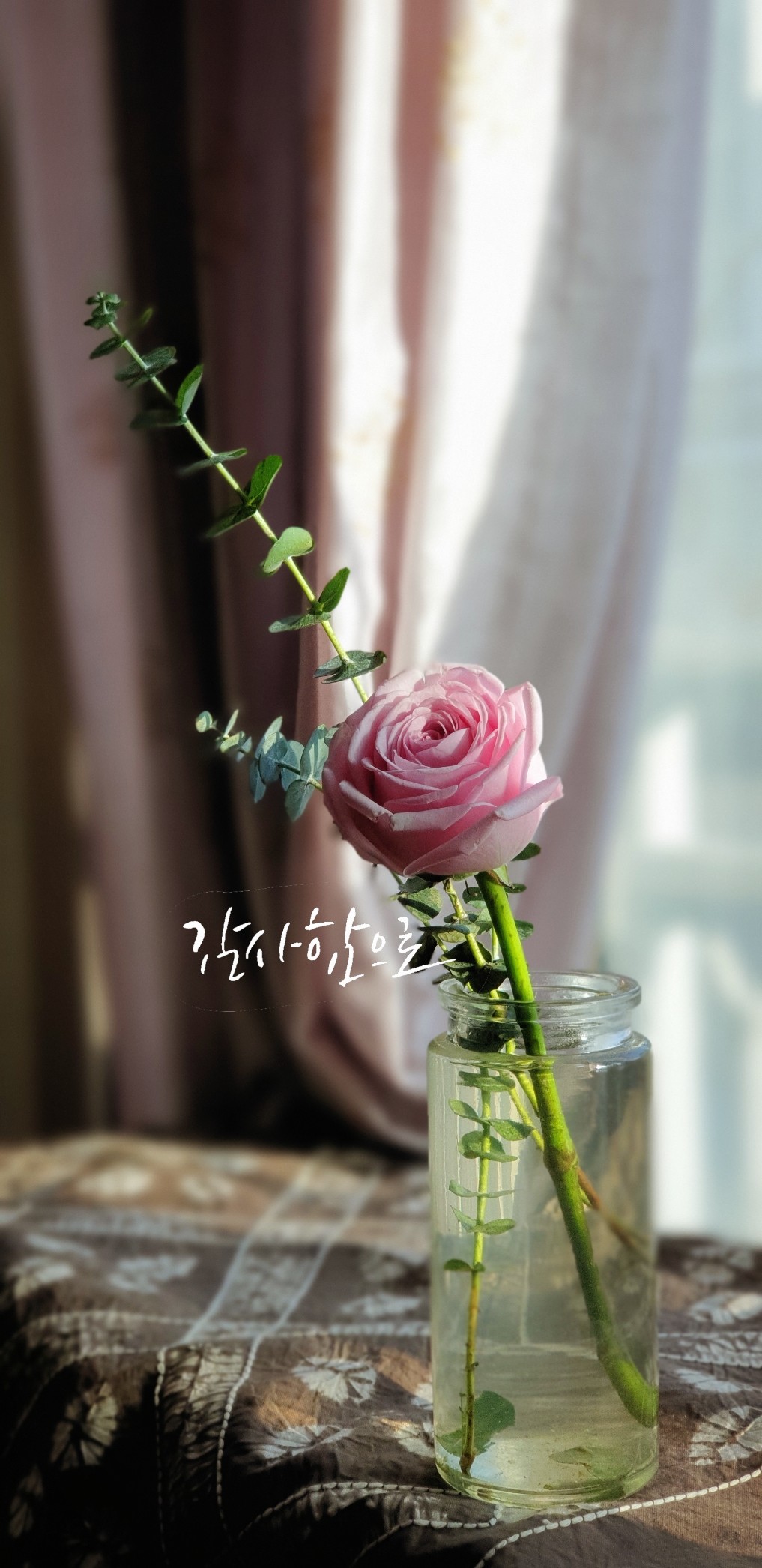  잘 찍은 감성사진 한 컷 카카오톡 프로필로 사용하기