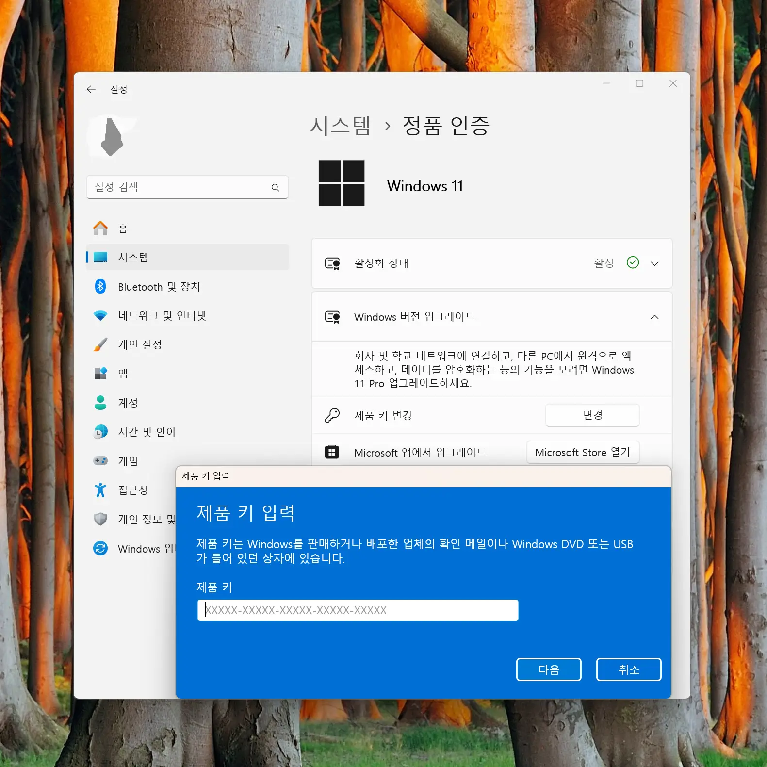 정품-인증-방법