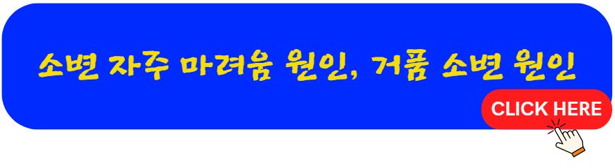 소변 자주 마려움 원인 증상 여자 소변 거품 원인 증상