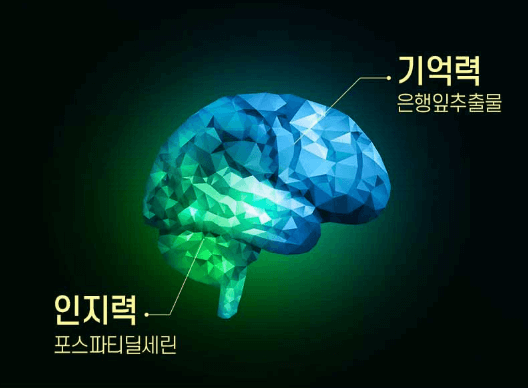 포스파티딜세린 효능과 부작용