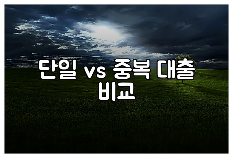 단일 vs 중복 대출 비교