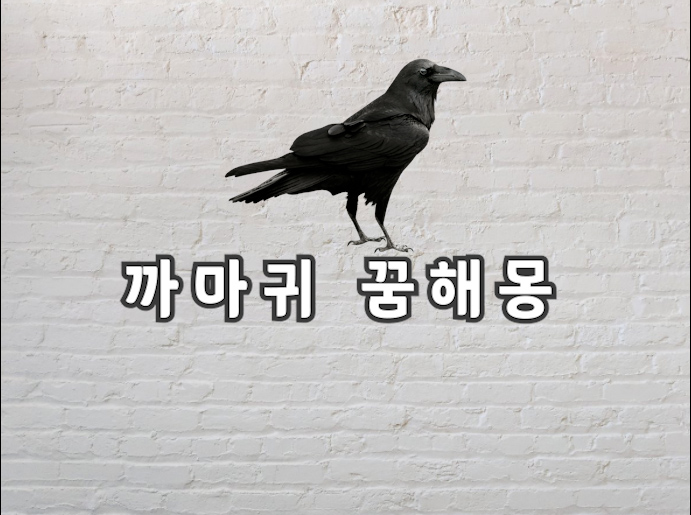  까마귀 꿈해몽 까마귀 꿈을 꿨다면 보고가야할 정보