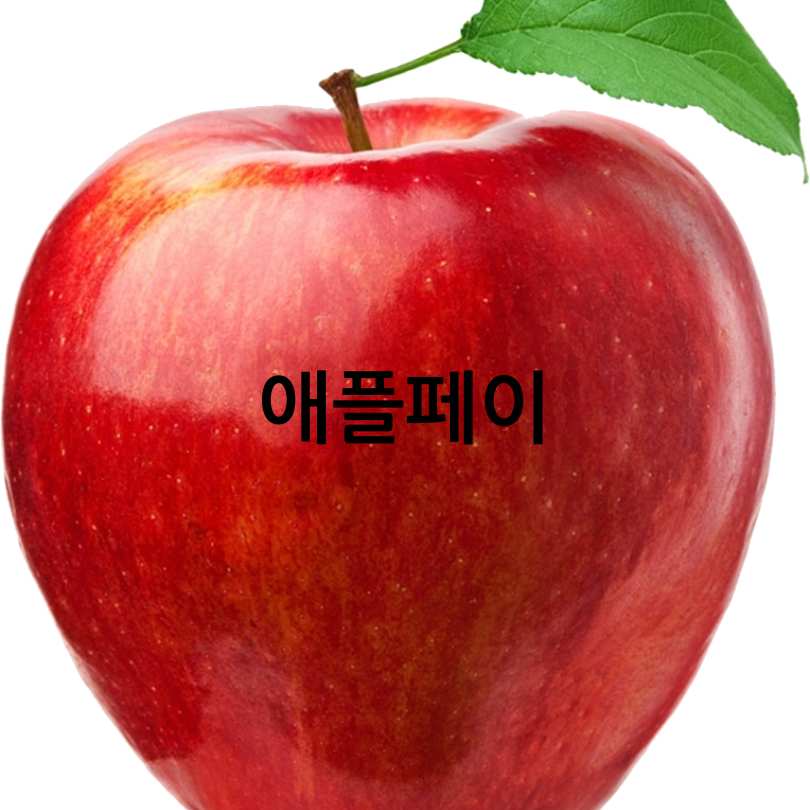 신한카드와애플페이