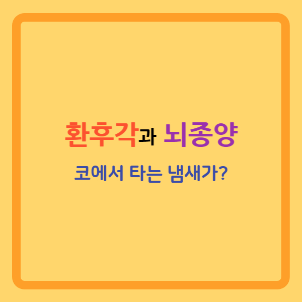  환후각과 뇌종양의 관계에 관한 자료들