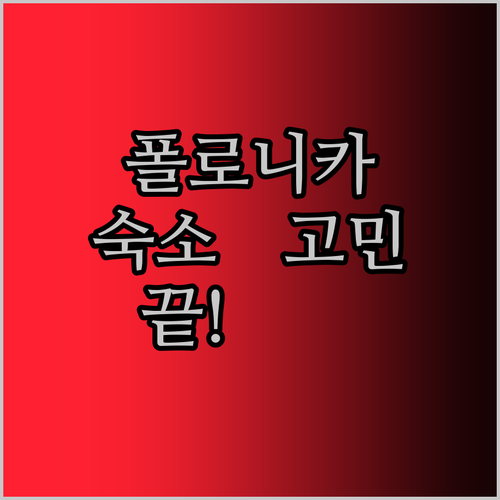 폴로니카 숙소 고민 끝! 숨겨진 보석