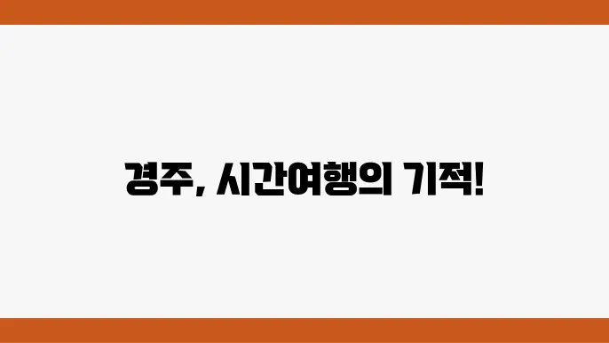 경주 여행지 2박3일코스 (경주 여행 가시려는분 주목)