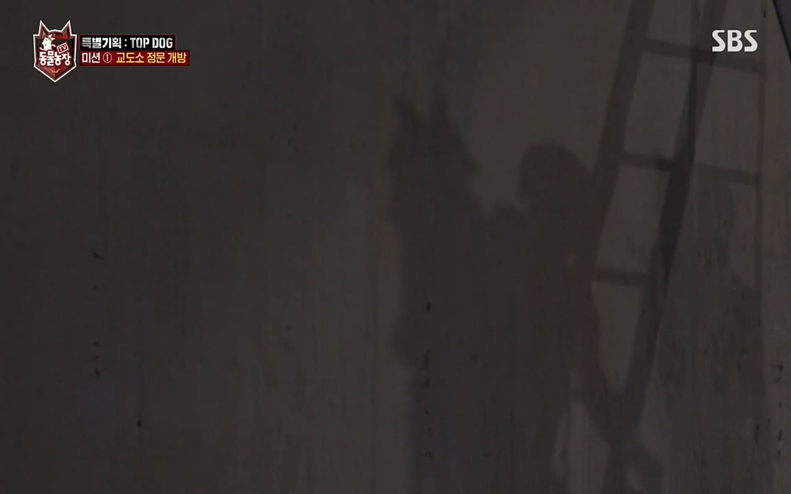 TV 동물농장.E1085.220905p-NEXT.mp4_20220904_172843.900.jpg