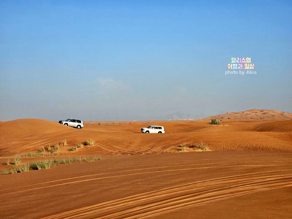 두바이 자유여행&#44; 사막투어 + BBQ 디너 뷔페 후기 무척 재미있었다!