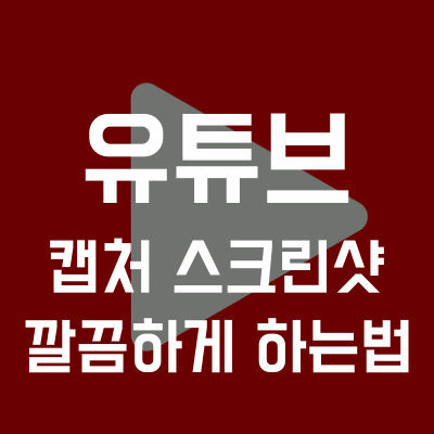  크롬 확장 프로그램 유튜브 캡처, 스크린샷