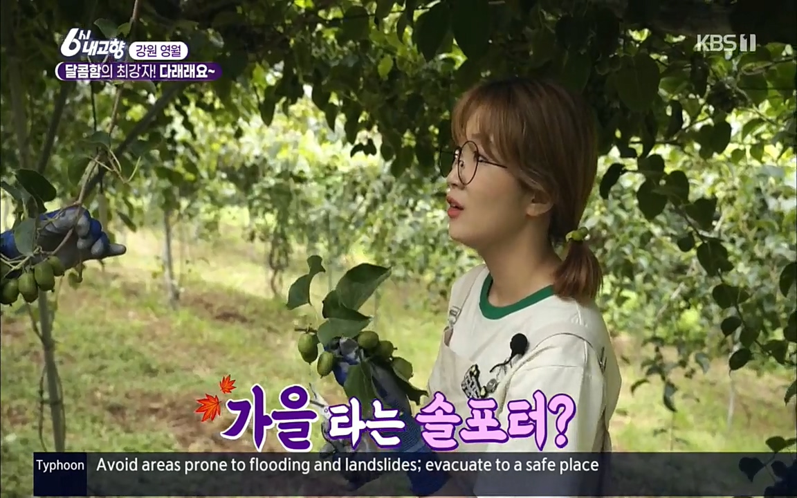 6시 내고향.E7611.220907p.H264-F1RST.mp4_20220908_201210.173.jpg