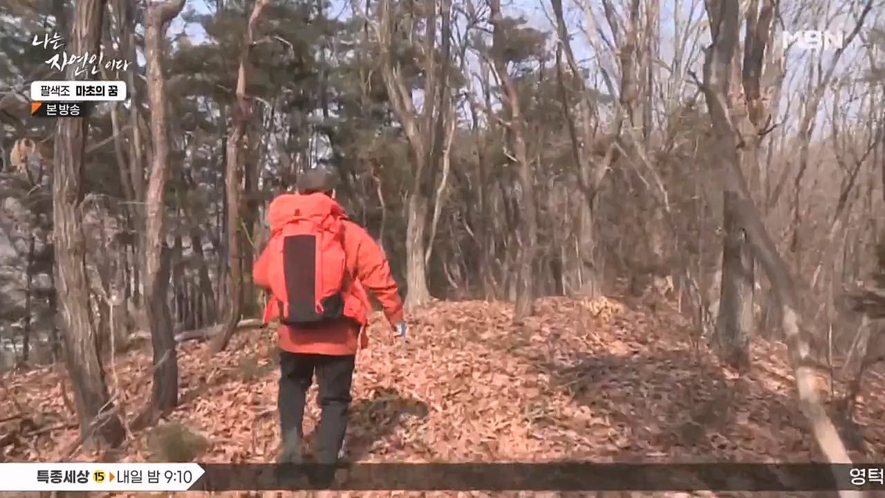 나는 자연인이다.E544.230309p-NEXT.mp4_20230309_191730.529.jpg