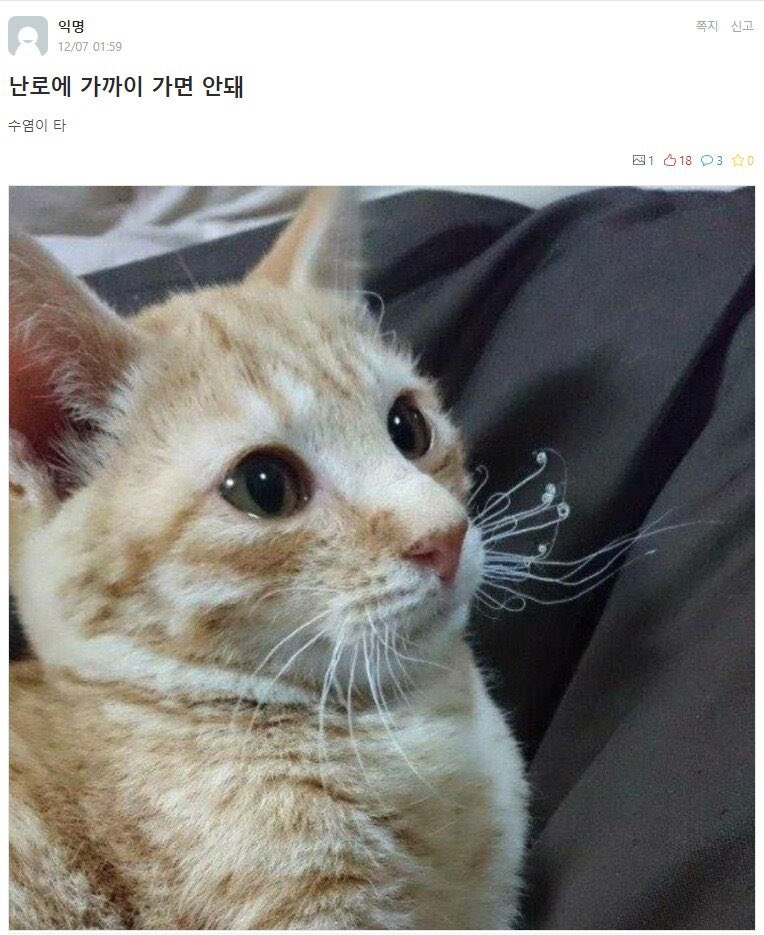  난로에 가까이 가면 안돼!