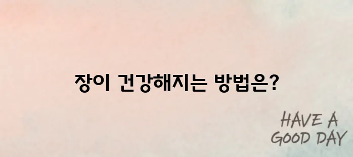 장이 편안해지는 영양제 추천 TOP5
