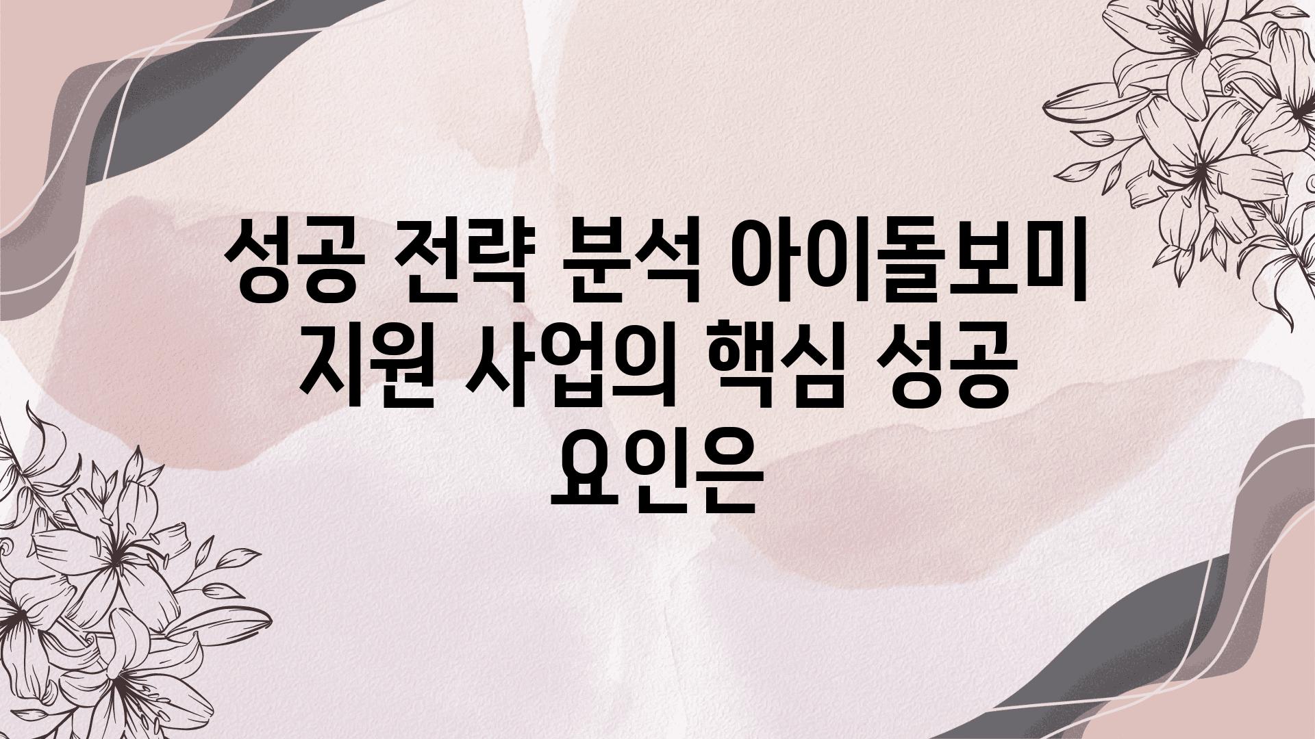 성공 전략 분석 아이돌보미 지원 사업의 핵심 성공 요인은