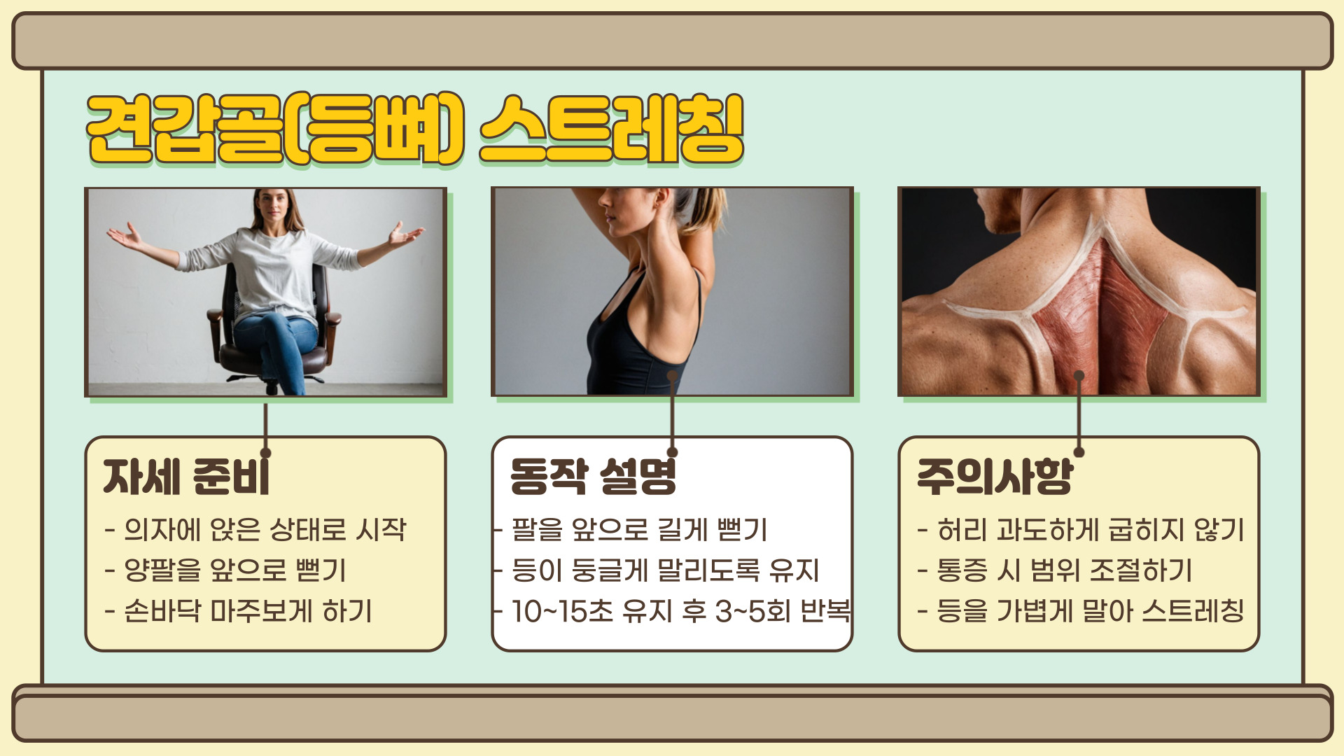 등뼈 스트레칭