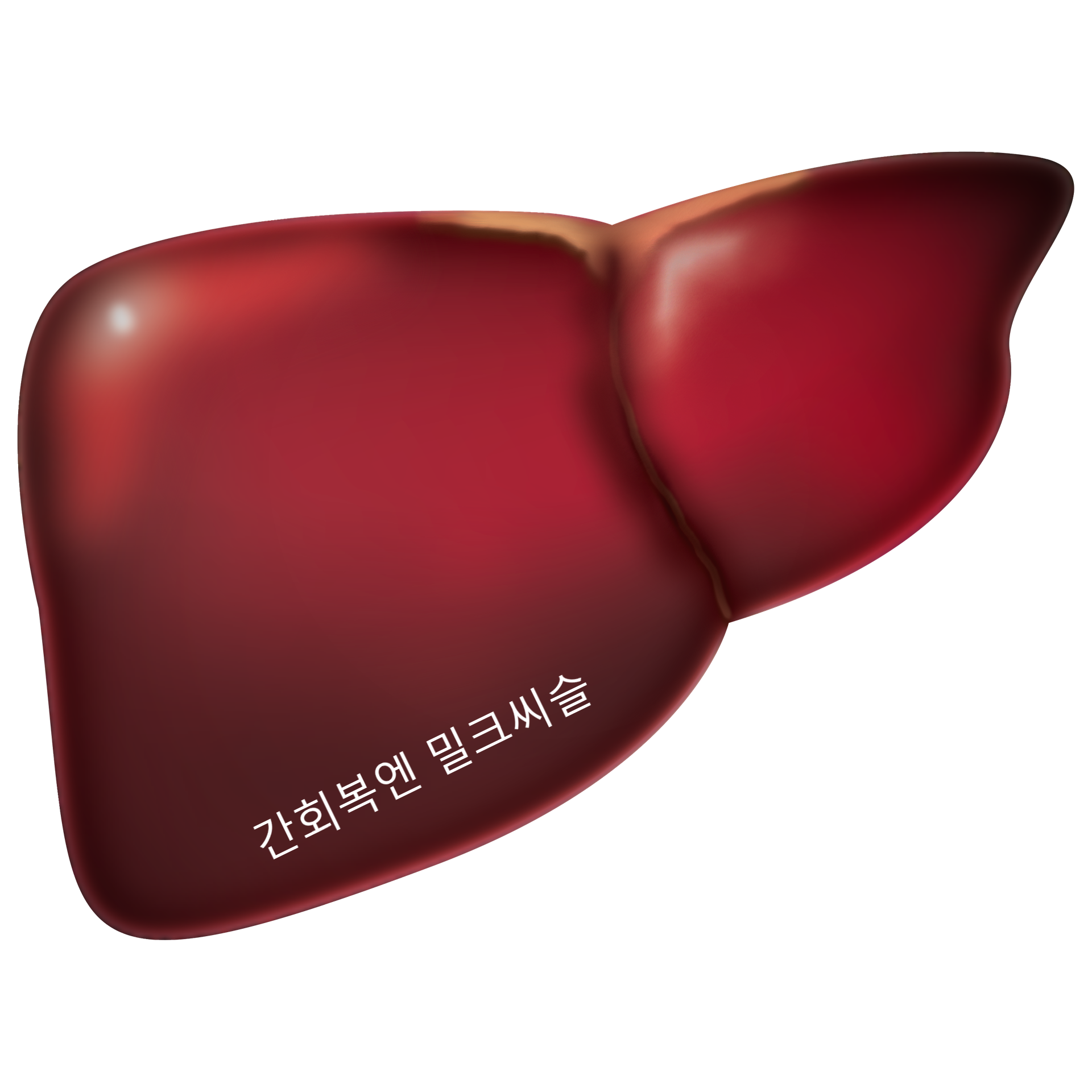  GNC밀크씨슬1300mg 참괜찮은 영양제