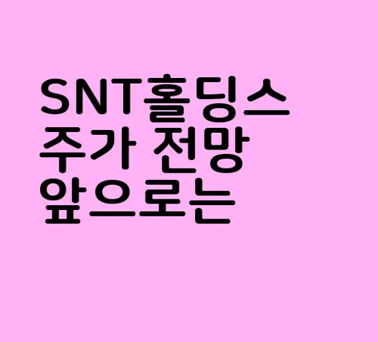 SNT홀딩스