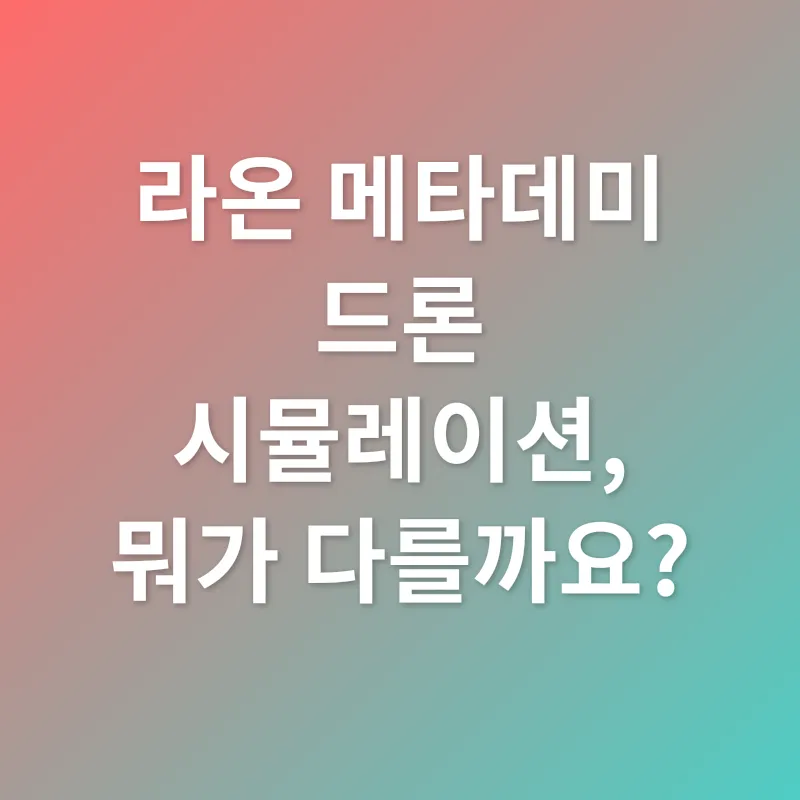 드론 조종 시뮬레이션_2