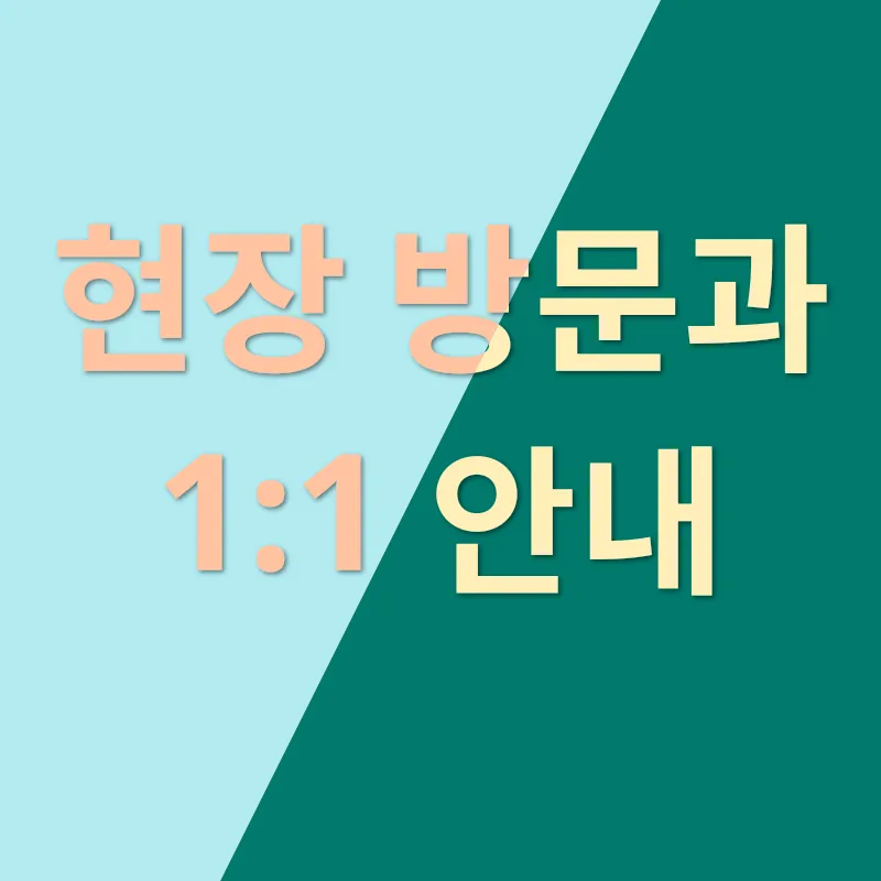 고양이 분양_2