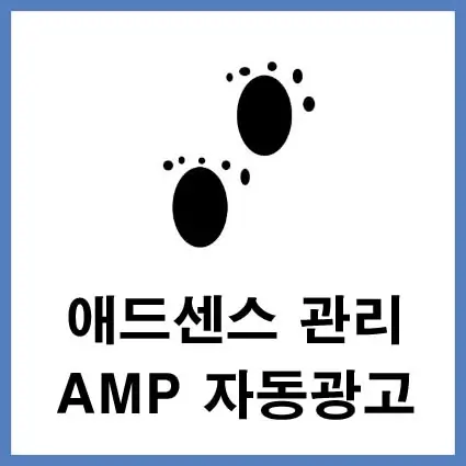 amp-자동광고-설정하기