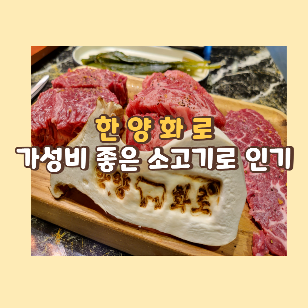 한양화로 가성비 좋은 소고기로 인기