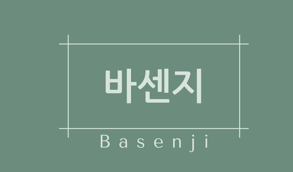 바센지(Basenji)