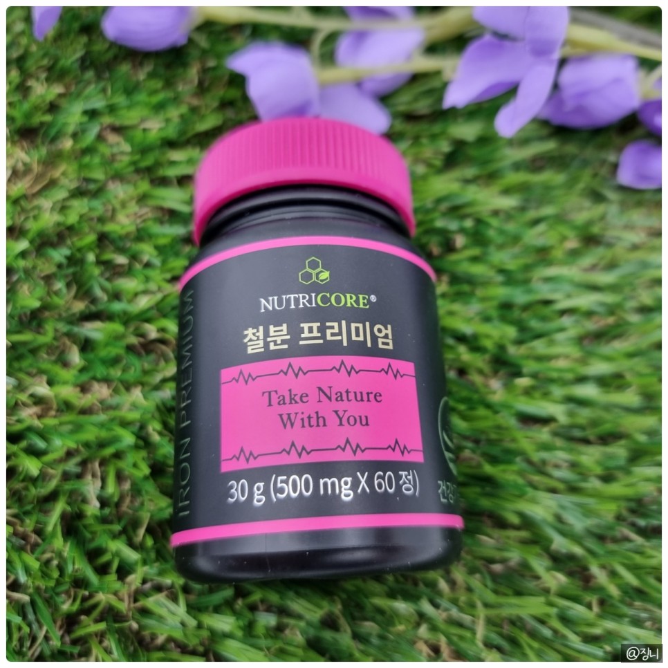 변비없는철분제