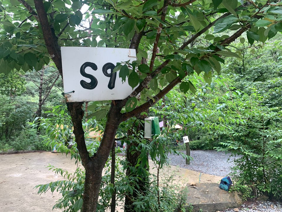 아리솔캠핑장 이미지