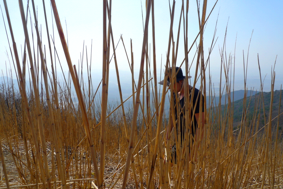 한국 명산 충남 홍성 보령 오서산 등산 mountain hiking