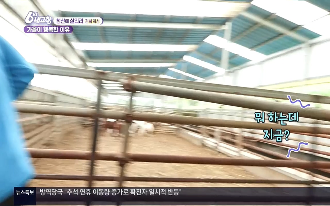 6시 내고향.E7618.220916p.H264-F1RST.mp4_20220920_204805.164.jpg