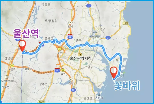 5002번-버스-경로
