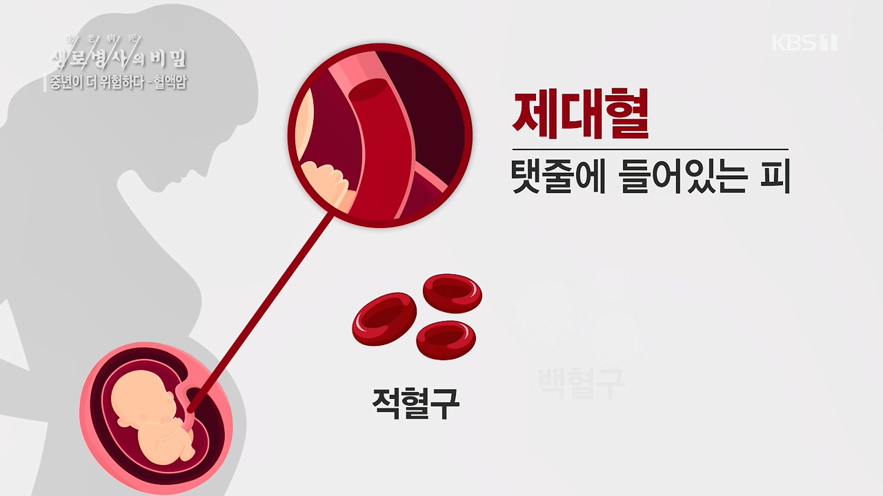 생로병사의 비밀.E868.230511p.H264-F1RST.mp4_20230511_201634.542.jpg