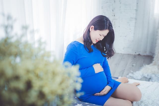 출생전의 임산부