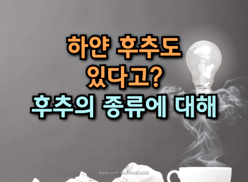  하얀 후추도 있다고? :: 후추의 역할과 종류