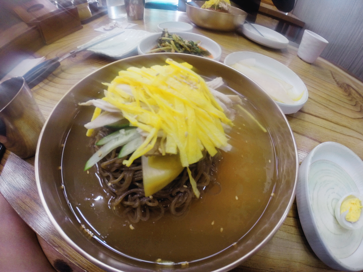 대전 여행 메밀 냉면 맛집 진수메밀냉면