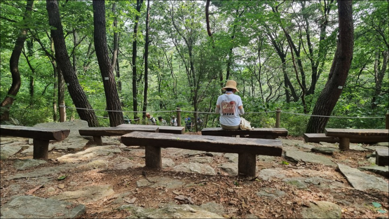  쉽게 오르는 옥녀봉 I 무더위에는 청계산을 심플하게 오르자