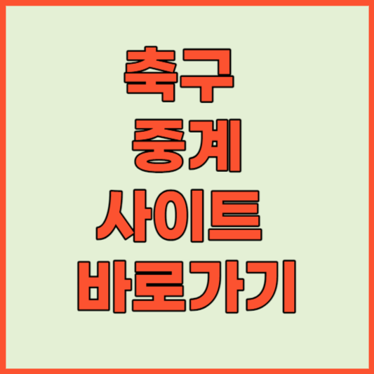 축구 중계 바로 보기