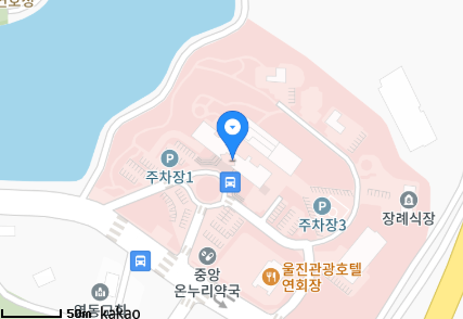 경상북도 울진군 울진읍 일요일 진료 휴일 문 여는 병원