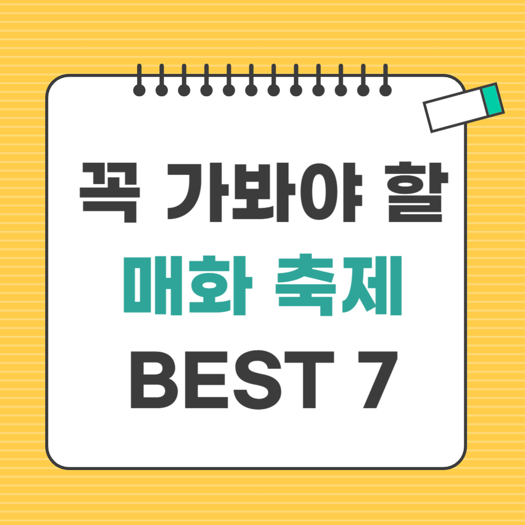 매화 축제 여행지