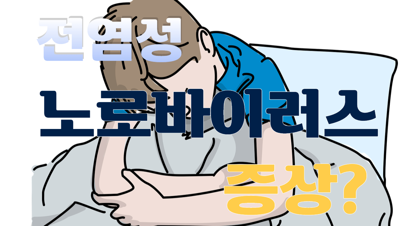  노로 바이러스 전염 및 증상, 예방법에 대해 알아보자!