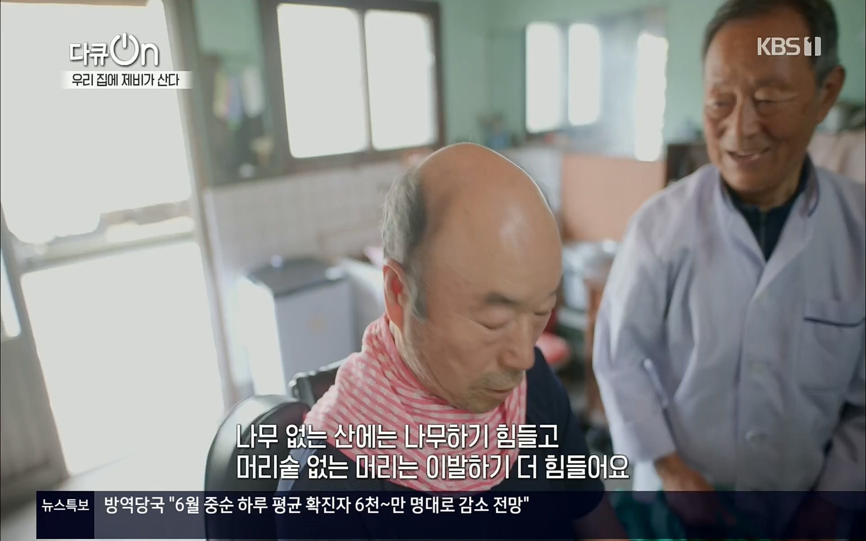 다큐 On.E143.220610p.H264-F1RST.mp4_20220613_202632.198.jpg