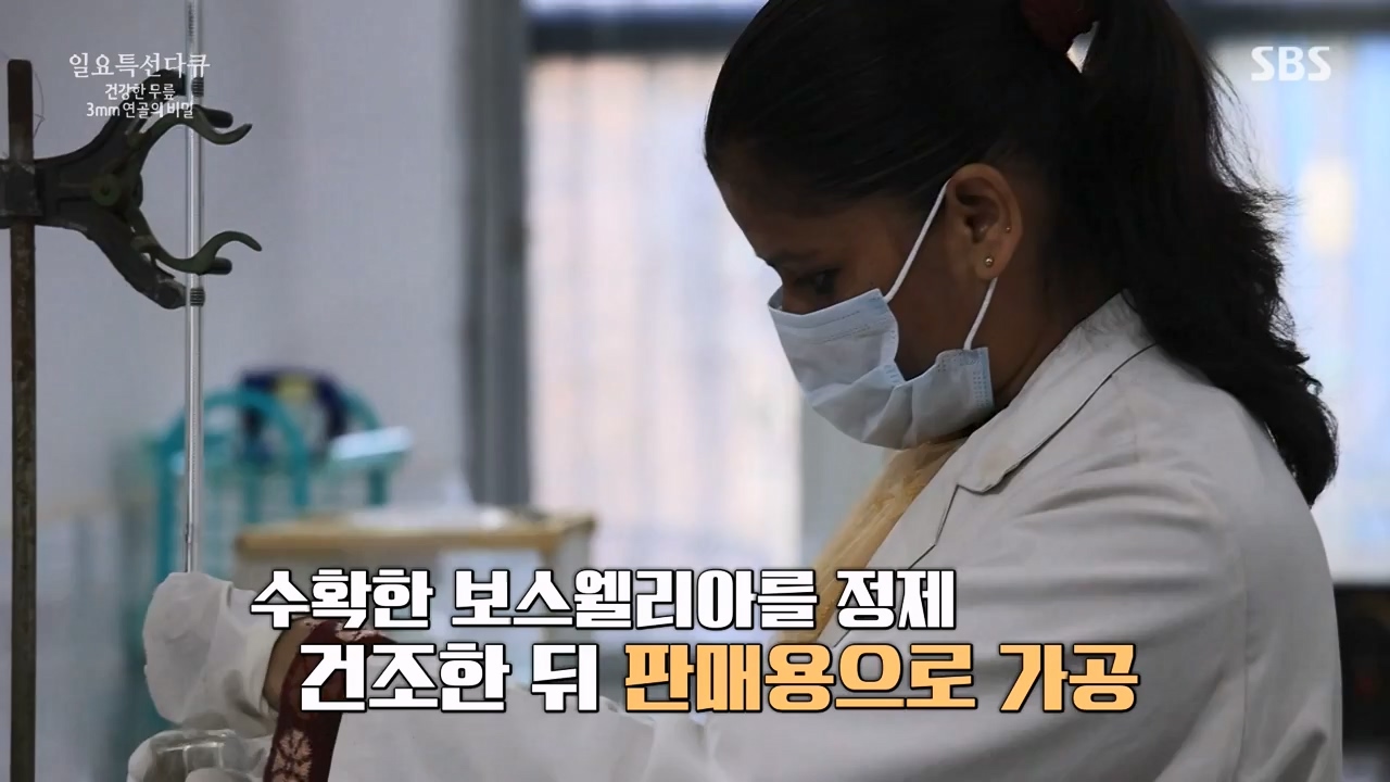일요특선 다큐멘터리.E341.240318p-NEXT.mp4_20240317_190306.318.jpg
