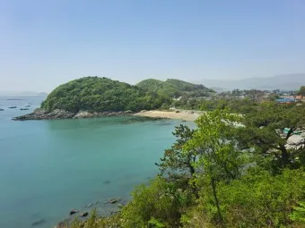 완도 청산도 배시간표 요금 배편 예약_24