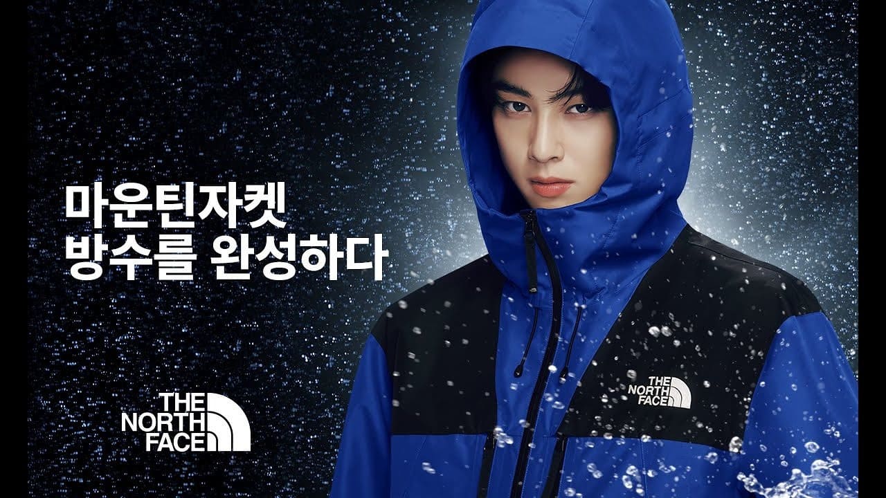 노스페이스 (The North Face)