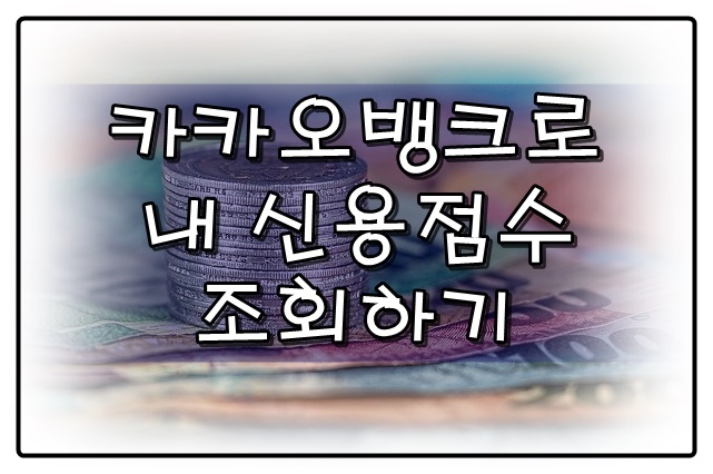  카뱅 신용점수 확인하기