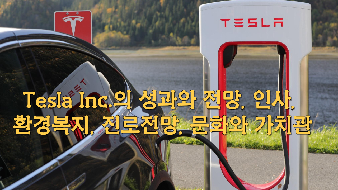  Tesla Inc.의 성과와 전망, 인사, 환경복지, 진로전망, 문화와 가치관