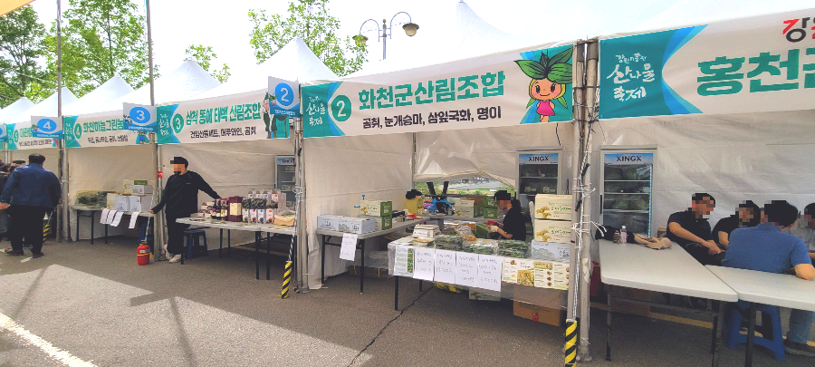 홍천 산나물 축제장