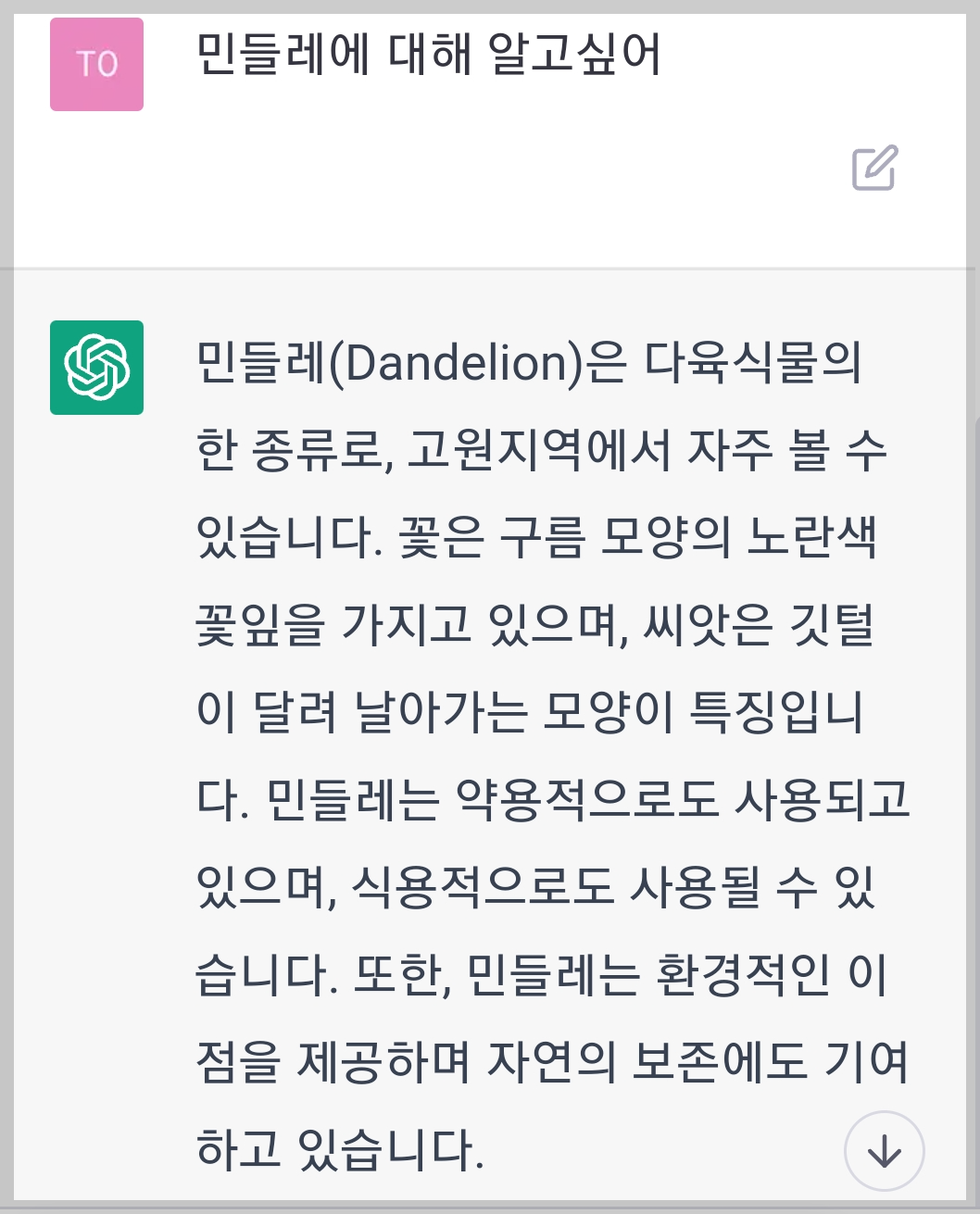 chatgpt에게 민들레를 물어보니 엉뚱한 답을 한다