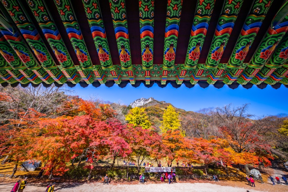 명소 - 장성백양사쌍계루전라도 가을단풍여행 7